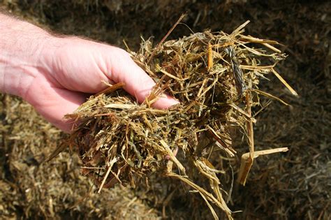 cilage|How to Make Silage: 12 Steps (with Pictures)